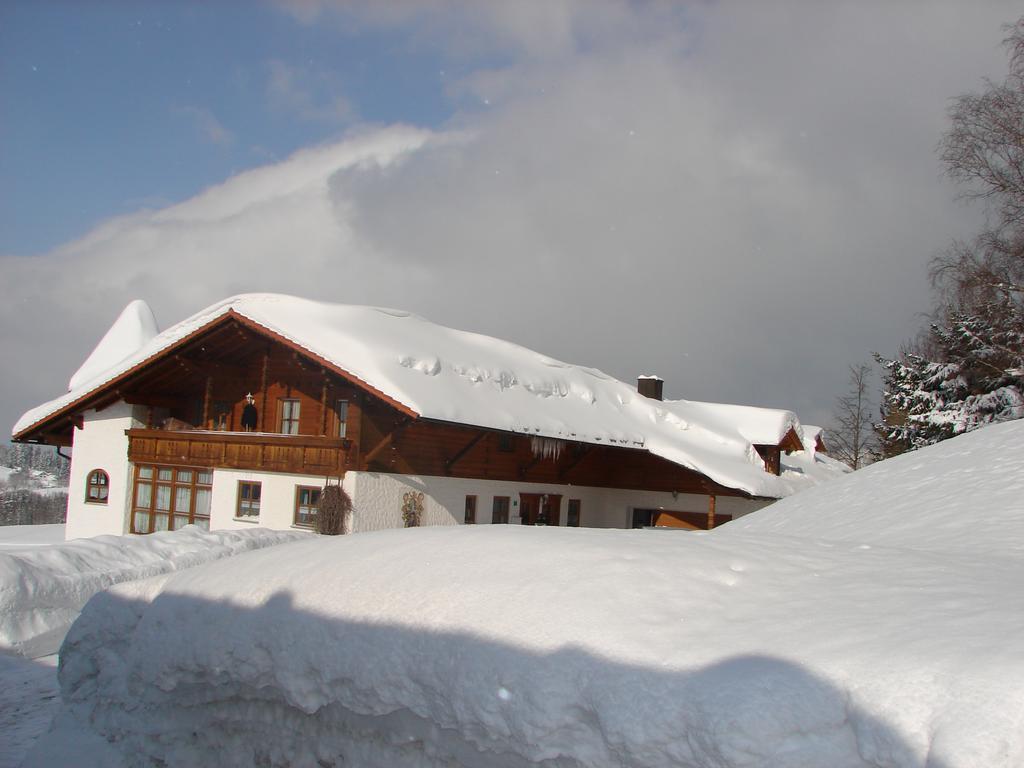Wellness Ferienwohnungen Zellertalblick Drachselsried Esterno foto