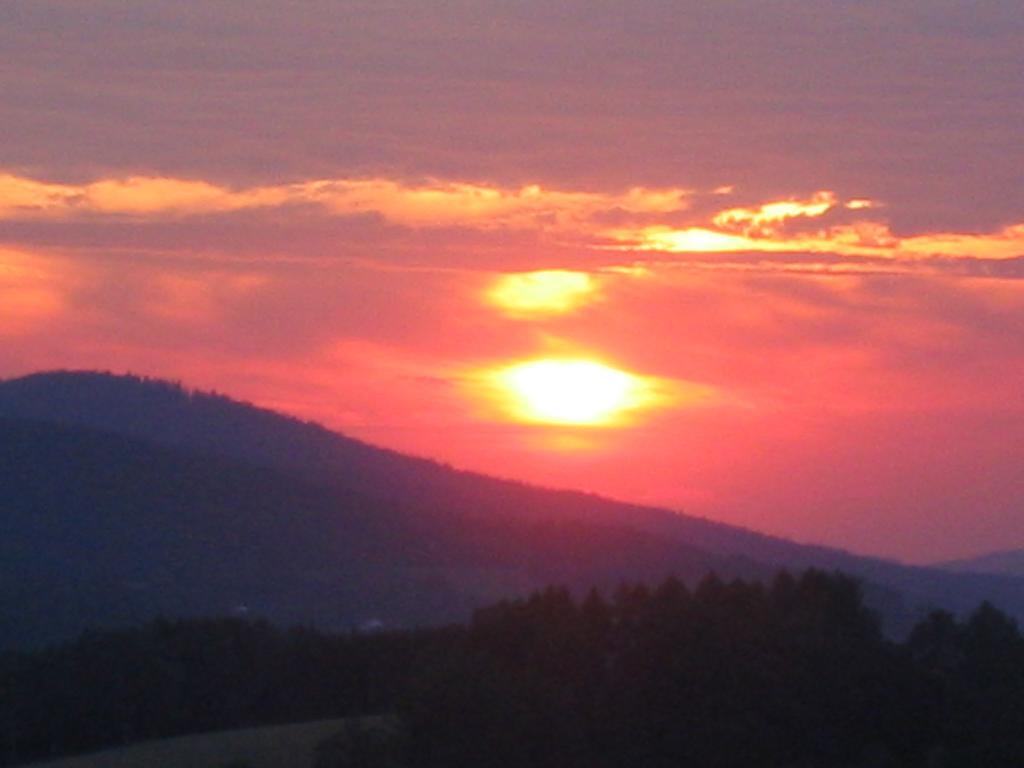 Wellness Ferienwohnungen Zellertalblick Drachselsried Esterno foto